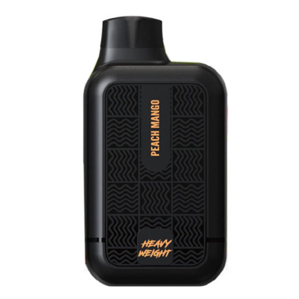 Tyson 2.0 Heavy Weight 7000 Puffs 10PK | Peach Mango